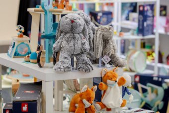 Discover kids, toys, clothing and accessories