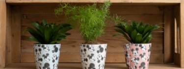 Jasnor Plant Pots