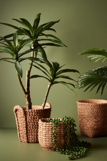 Floral Interiors Australia