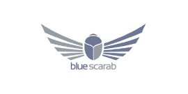 reed gift fairs blue scarab