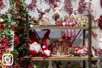 reed gift fairs instagram
