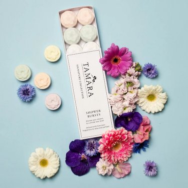 reed gift fairs - introducing who's new